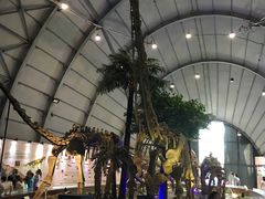 -辽宁古生物博物馆