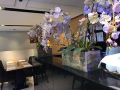 -香港铜锣湾皇悦酒店