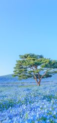 -小梨·OndaPro·专业脱毛连锁机构
