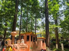 -黄海国家森林公园