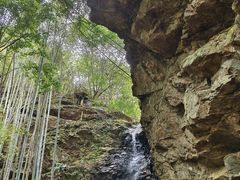 -大余丫山旅游度假区