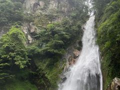 -炎陵县神农谷国家森林公园