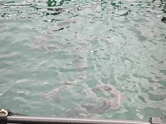 -三亚蜈支洲岛旅游区