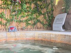 -中华郡温泉