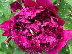 -太阳宫公园