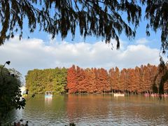 -上海海湾国家森林公园