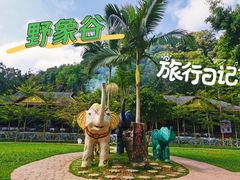 -野象谷景区