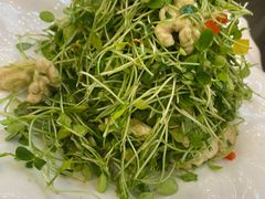 -鸿运楼烤鸭店(天桥店)