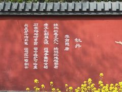 -洛阳市隋唐城遗址植物园