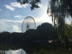 -青城公园
