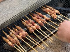 -吴淞炮台湾湿地森林公园烧烤区