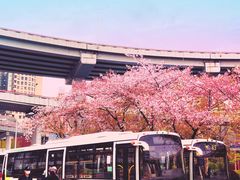 -上海南浦大桥长途旅游客运站