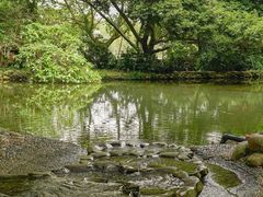 -成都市活水公园