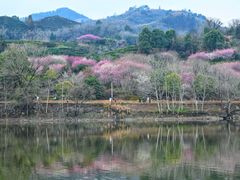 -新安江山水画廊风景区
