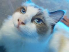 -零纪元VR体验馆·桌游(黄浦店)