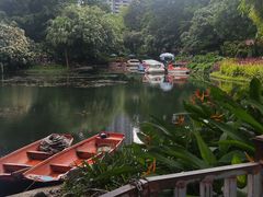 -晓港公园