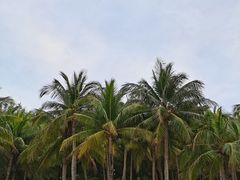 -海南分界洲岛旅游区