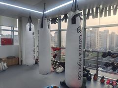 -EFL巴西柔术·综合格斗·泰拳·少儿体能训练(虹桥德必馆)