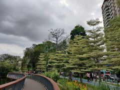 -四海公园(南山区)