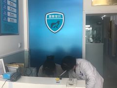 -中农大我爱我爱24h动物医院·中医针灸·猫专科·骨科医疗中心(双井店)