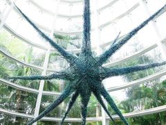 -深圳国际园林花卉博览园