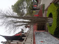 穹窿山-穹窿山景区