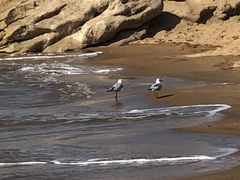 -老虎石海上公园