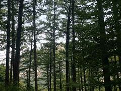 -崂山九水游览区