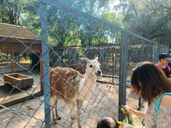 -长白岛森林公园