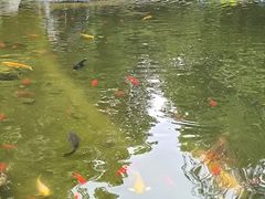 -北京市海淀外国语实验学校