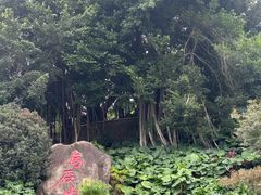 -乌山风景区