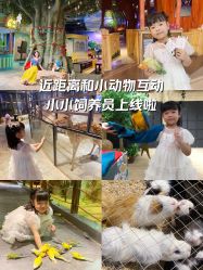 -酷嗒动物文化乐园(cutezoo西溪乐天城店)