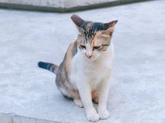 -A thing COFFEE(下梅林店)