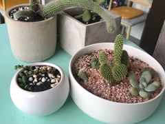 -蜜蜂小象·榴莲千层蛋糕(时代汇11栋店)