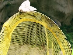 -碓臼峪自然风景区