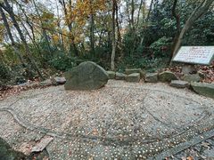 -上海佘山国家森林公园天马山园