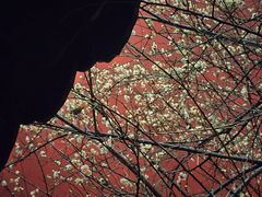 -钱王祠