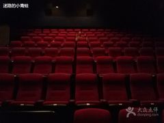 -万达影城(济宁万达广场IMAX店)