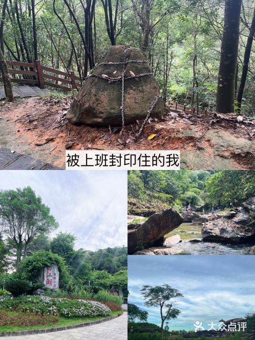 广州白江湖森林公园图片
