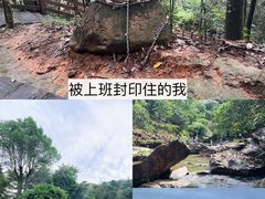 -广州白江湖森林公园
