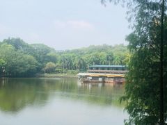 -三水森林公园