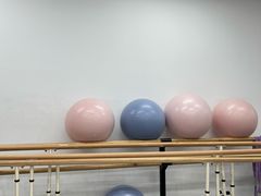 -中央芭蕾舞团·中芭艺蕾(酒仙桥明星校区)