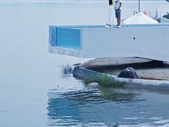 -天屿湖