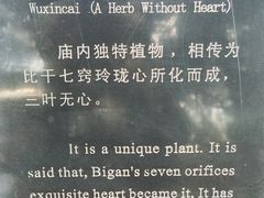 -比干庙景区