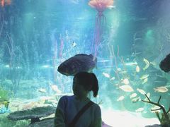 -沈阳海洋探索中心