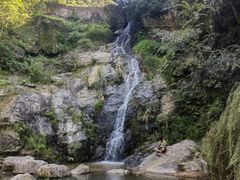 -灵光寺