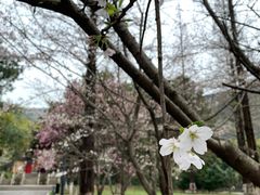 -虞山风景区