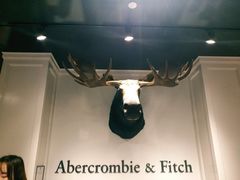 -Abercrombie&Fitch(德基广场店)