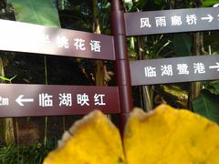 -重庆彩云湖湿地公园