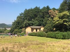 -韶山毛泽东同志故居